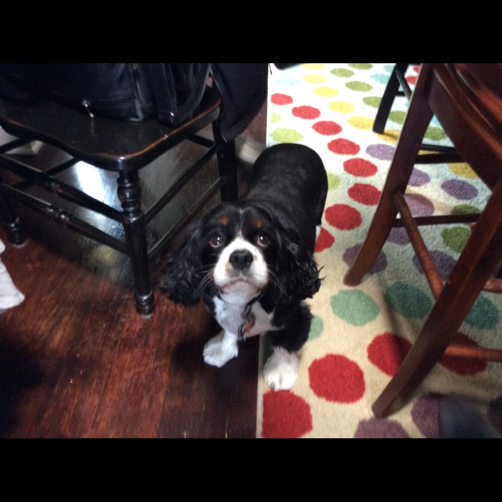 Meet your Posher, Melissa